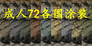 T-72AV 成人72各种乱七八糟的迷彩整合包