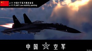 [J-11] 中国空军低可视度弱数码涂装
