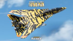 F-14B "TigerShark"